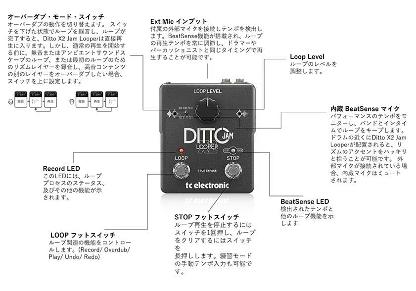ギター tc electronic DITTO JAM Looper XL