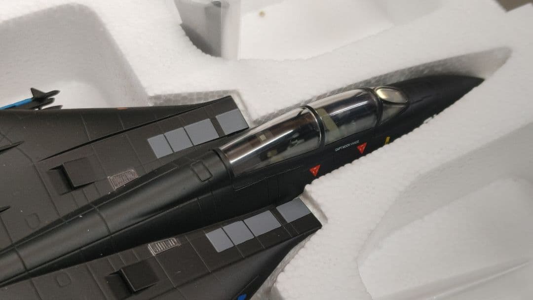 F-14 Tomcat第４航空試験評価 飛行隊エバリュエイターズブラックバニー