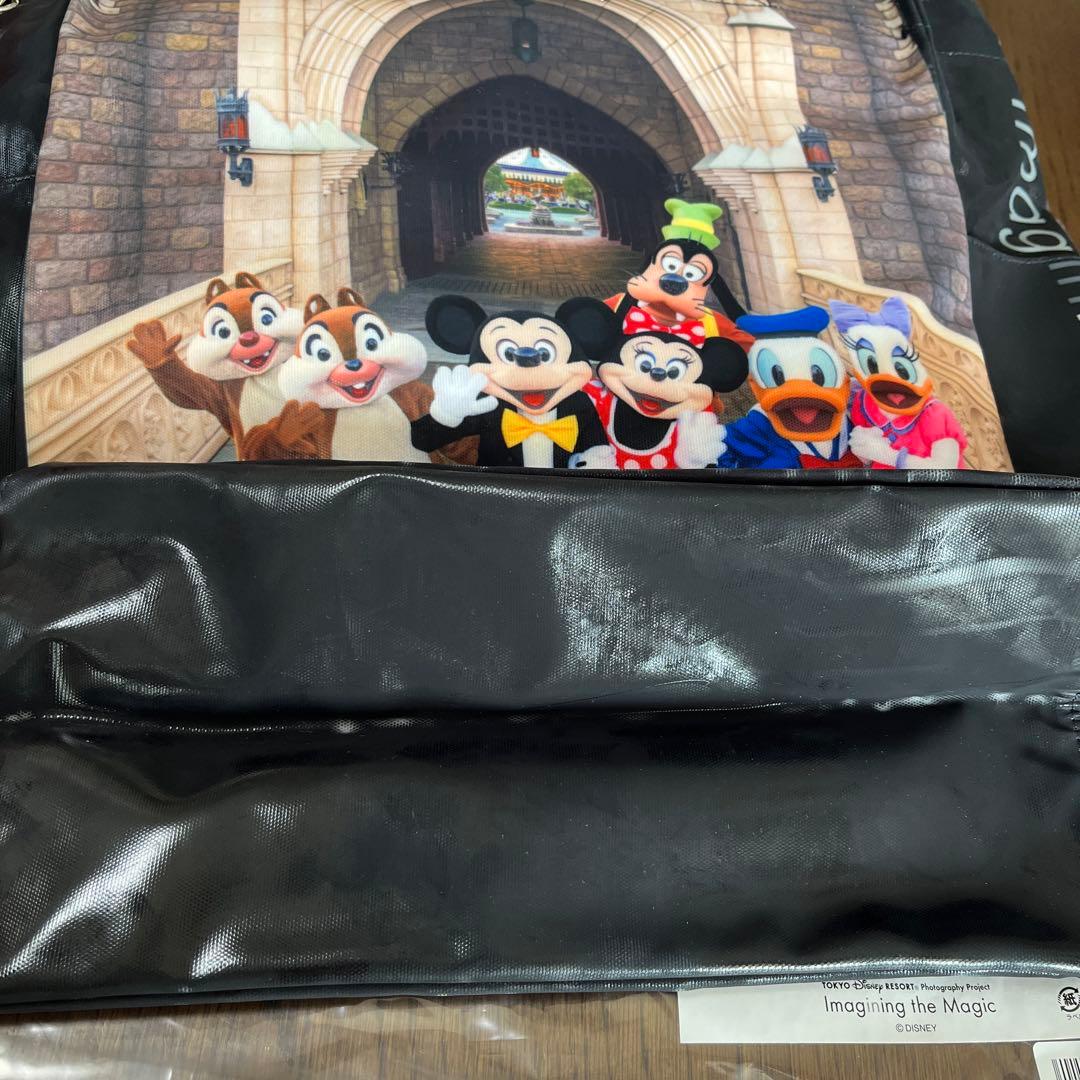 新品未使用　ディズニー　実写　イマジニングザマジック　トートバッグ　カメラバッグ