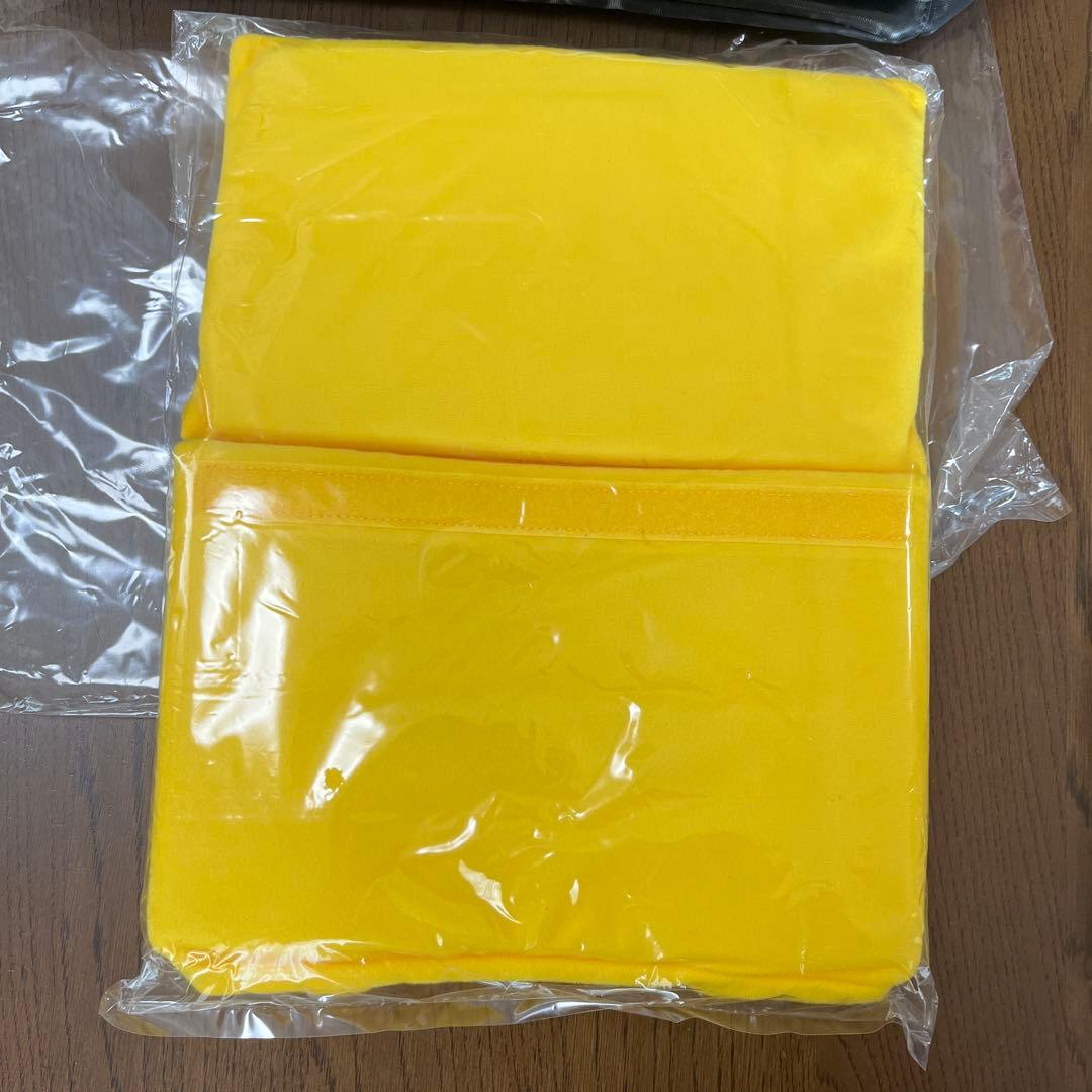 新品未使用　ディズニー　実写　イマジニングザマジック　トートバッグ　カメラバッグ