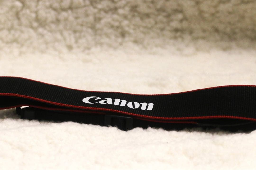 ⭐️完動美品⭐️ Canon キヤノン EOS Kiss X80 ボディ