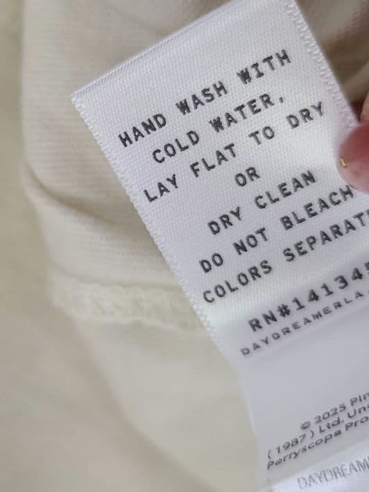 アメリカ製　デイドリーマー　ピンクフロイド ツアーTシャツ　へビーウェイト