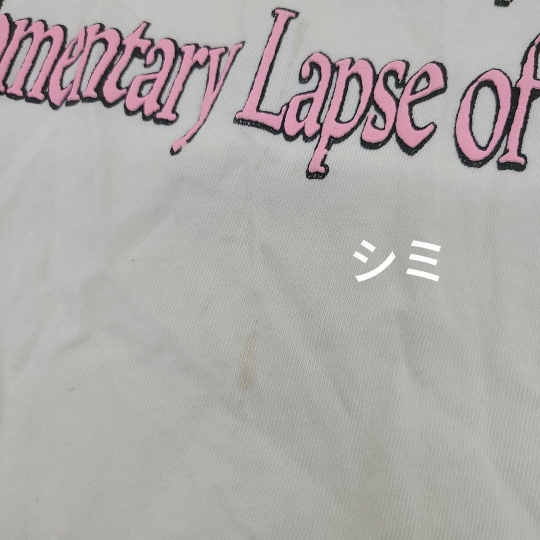 アメリカ製　デイドリーマー　ピンクフロイド ツアーTシャツ　へビーウェイト