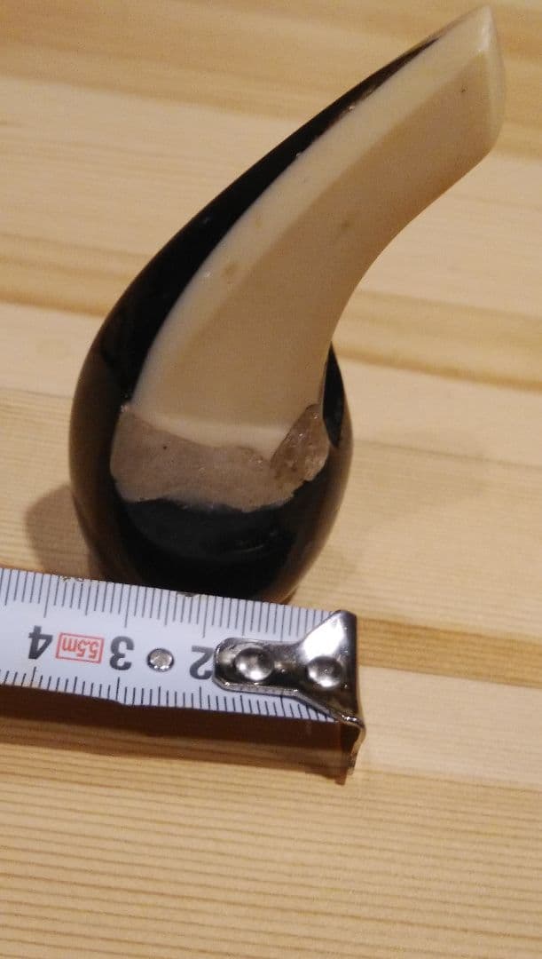 【貴重な素材】三線用バチ 黒と白のツートンカラー