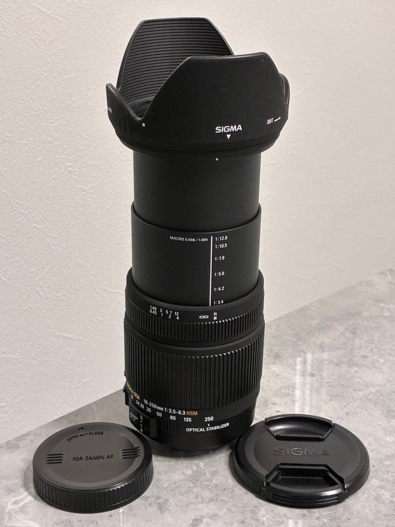 ⭐️美品⭐️シグマ 18-250mm 3.5-6.3 DC OS HSM キャノン用