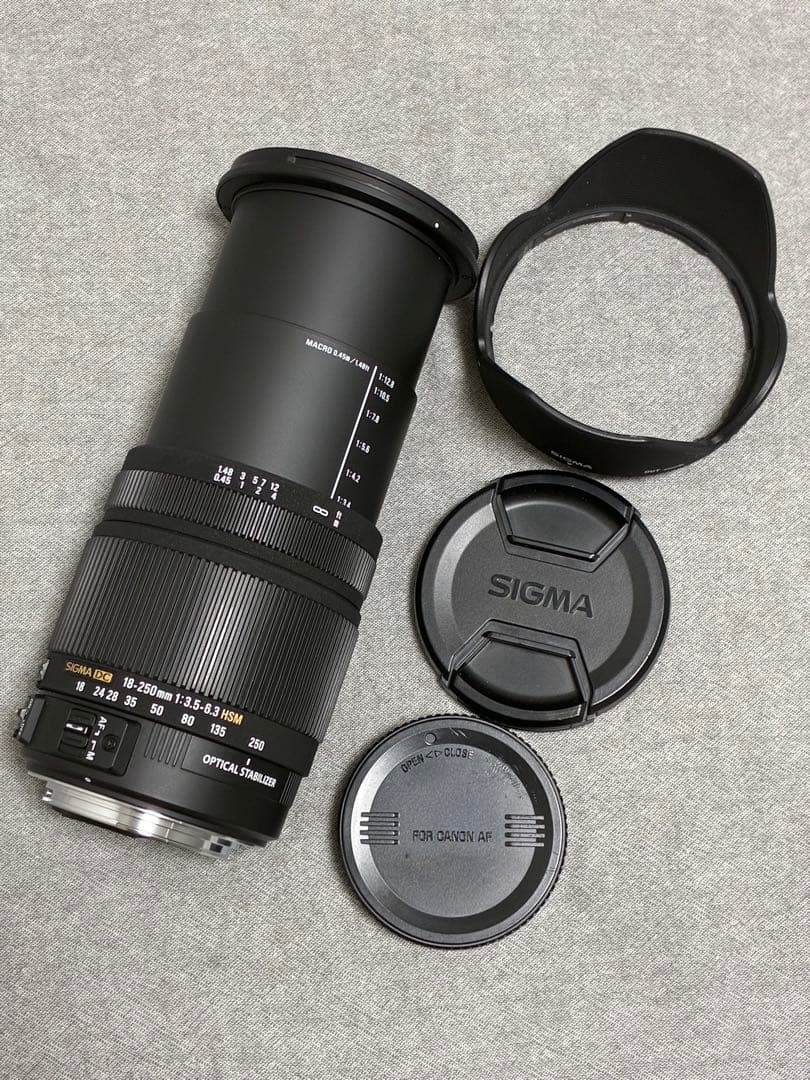 ⭐️美品⭐️シグマ 18-250mm 3.5-6.3 DC OS HSM キャノン用