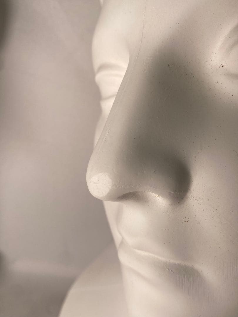 1922❣️ ダイアナ半面　石膏像　2点セット