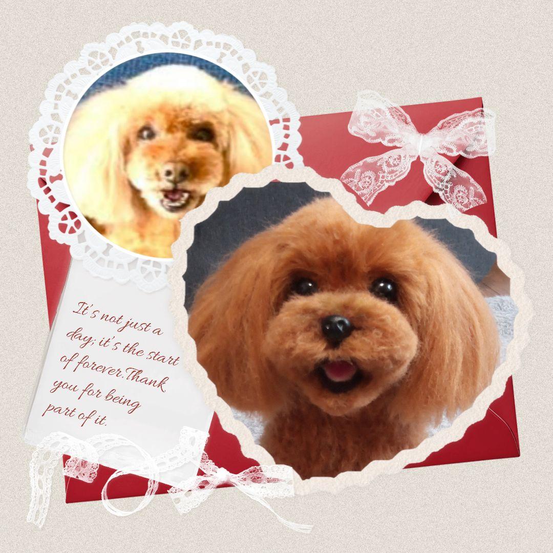 愛犬さんの羊毛フェルトオーダー専門・わんちゃん