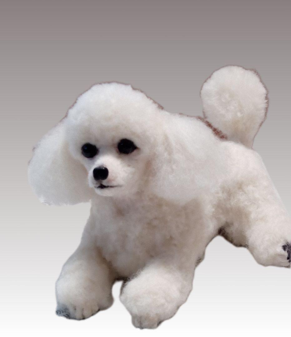 愛犬さんの羊毛フェルトオーダー専門・わんちゃん