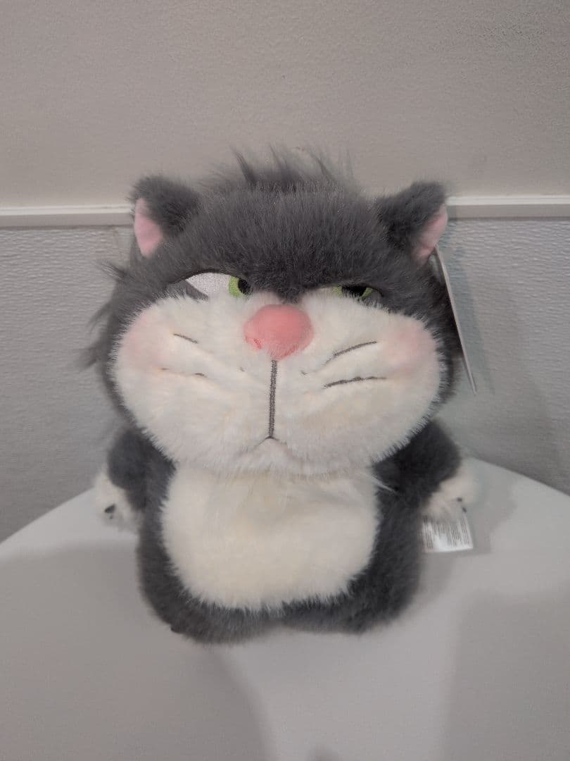 ディズニーキャラクターのぬいぐるみ5点セットです。