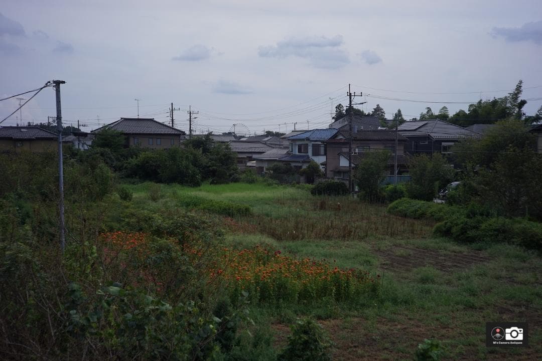 希少美品Nikkor H 5ｃm F/2 黒帯ライカＬ３９レンズ整備済２