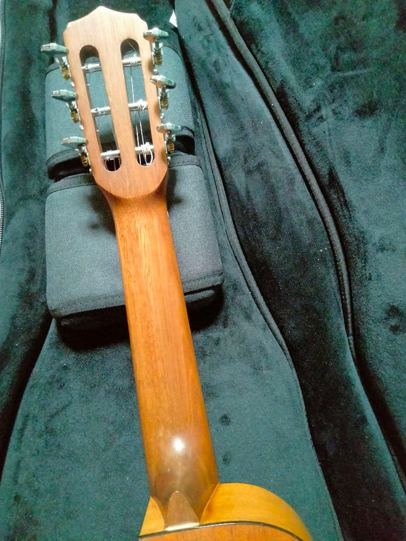 Cordoba Guilele CE ミニエレガットギター コルドバ 生産完了