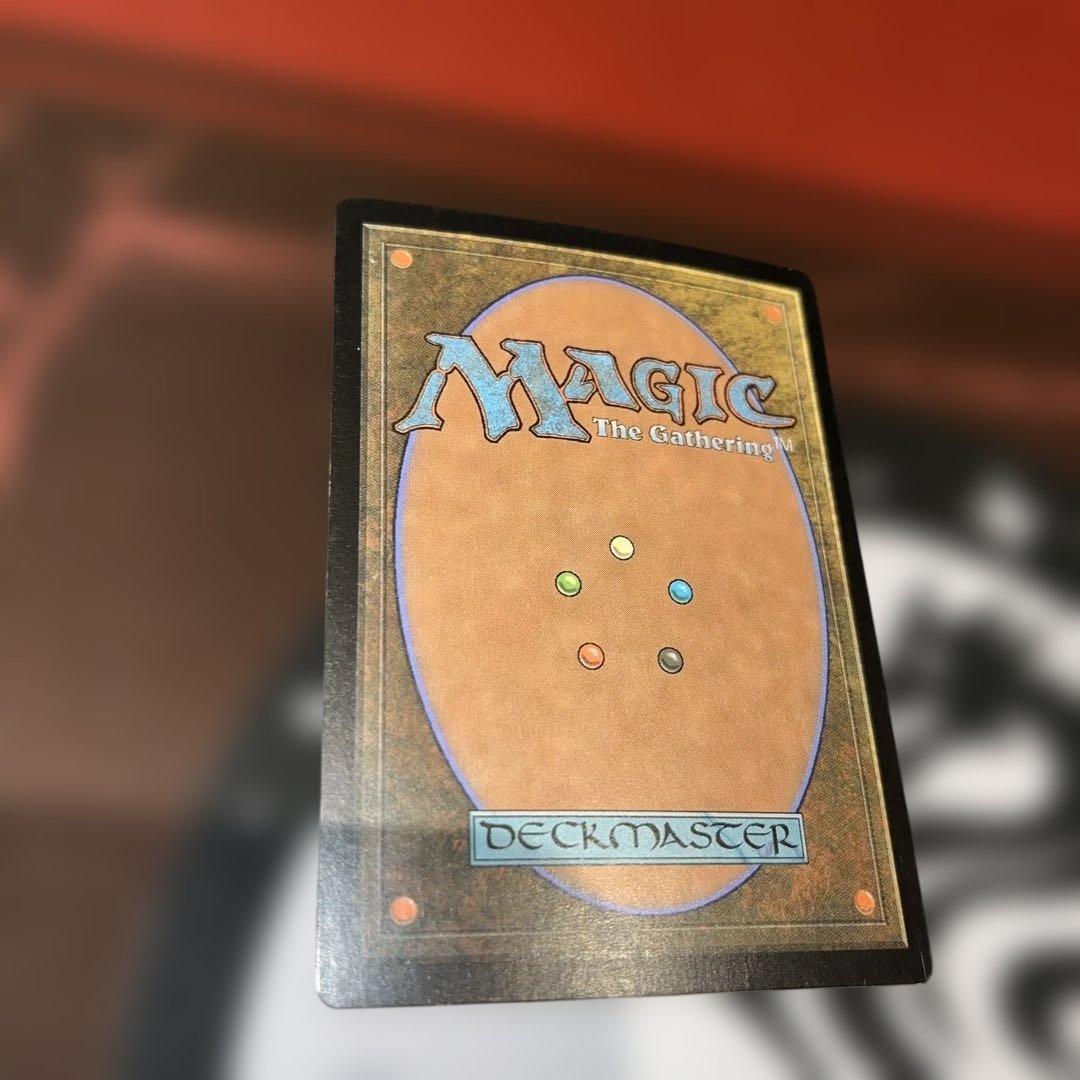 MTG ラノワールの荒原 Llanowar Westes APC日本語版foil