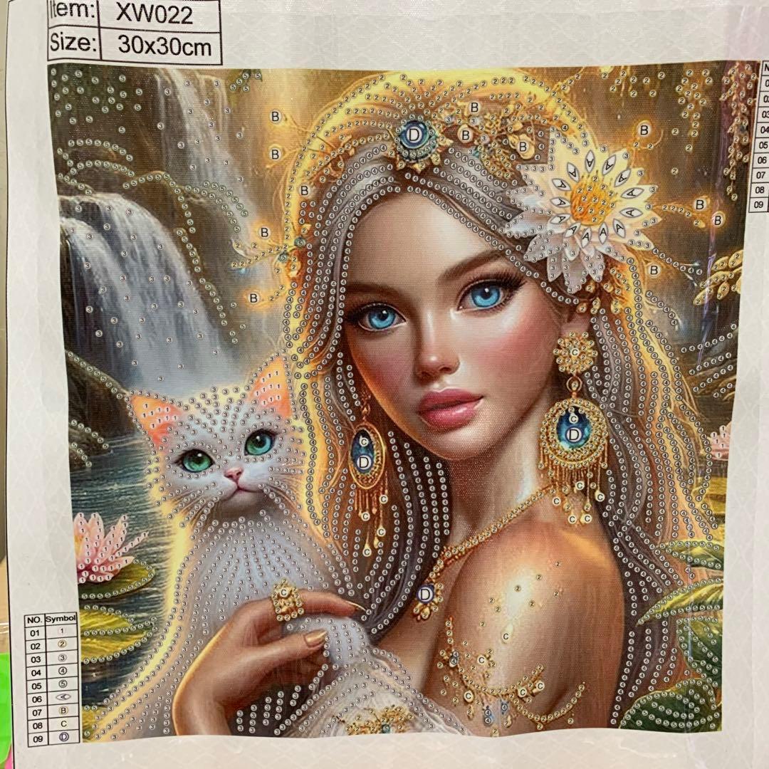 ★専用★ダイヤモンドアート特殊ビーズ　美しい女性と猫 30cm x 30cm
