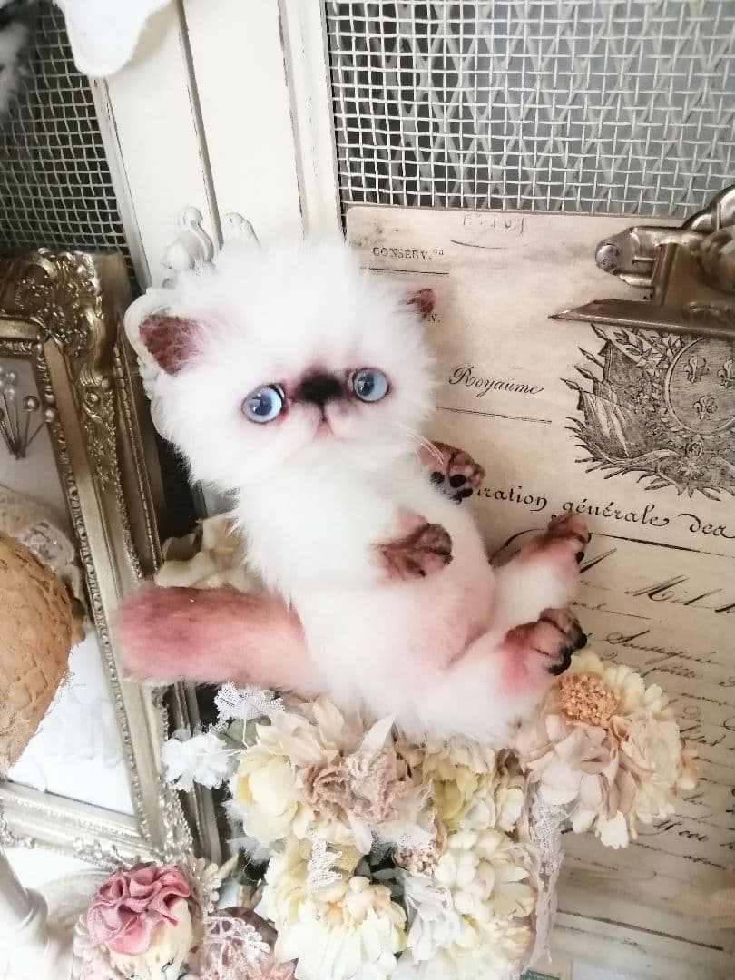 Milky様御予約❤️子猫ちゃん♡ベビー♡アートドール♡ぬいぐるみ♡