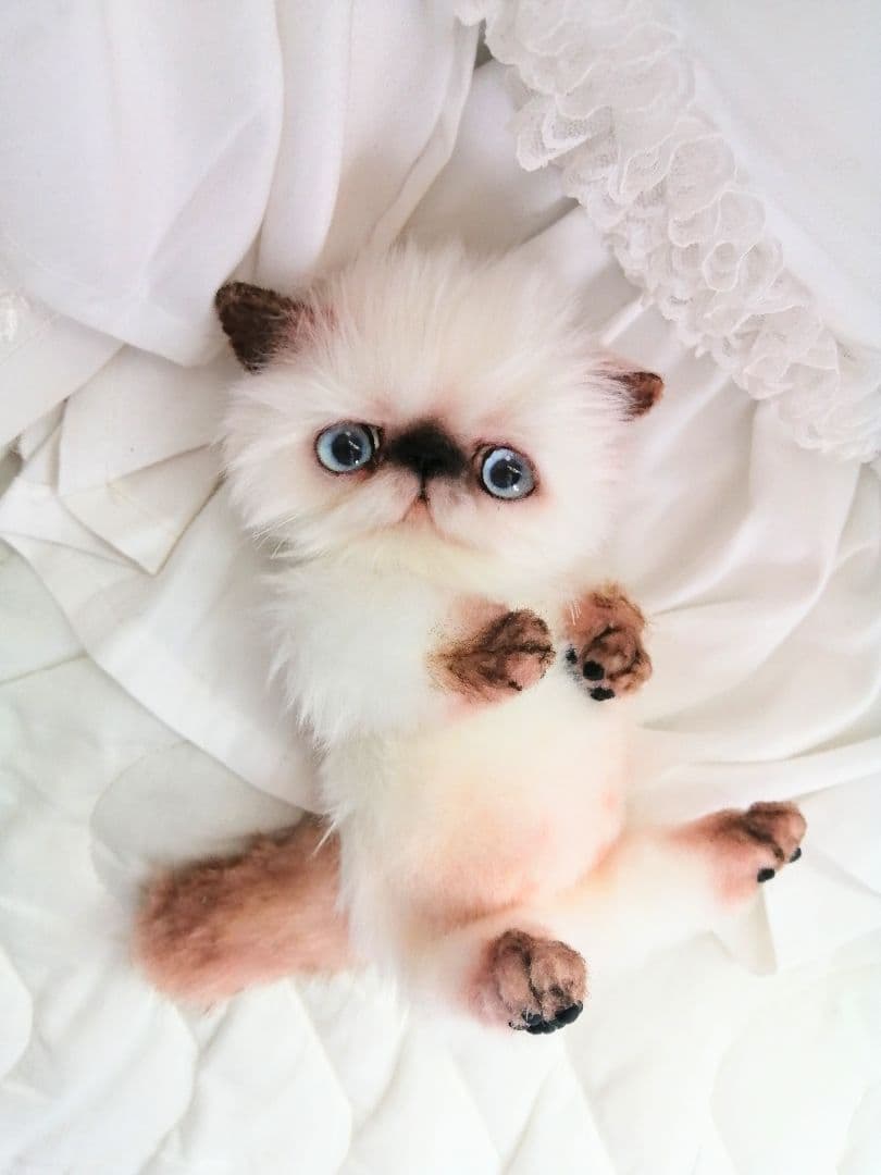 Milky様御予約❤️子猫ちゃん♡ベビー♡アートドール♡ぬいぐるみ♡