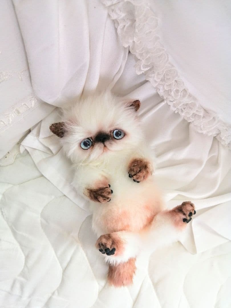 Milky様御予約❤️子猫ちゃん♡ベビー♡アートドール♡ぬいぐるみ♡