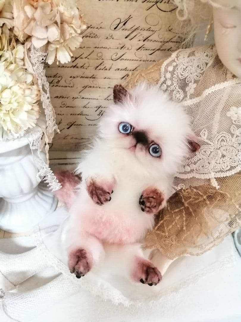 Milky様御予約❤️子猫ちゃん♡ベビー♡アートドール♡ぬいぐるみ♡
