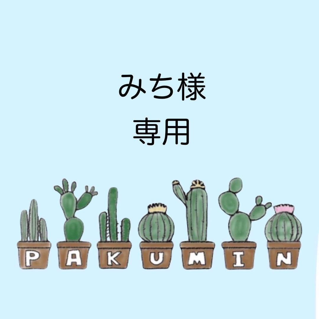 ✨みち✨A6 アクリルレジンバインダー　リング付き×２セット