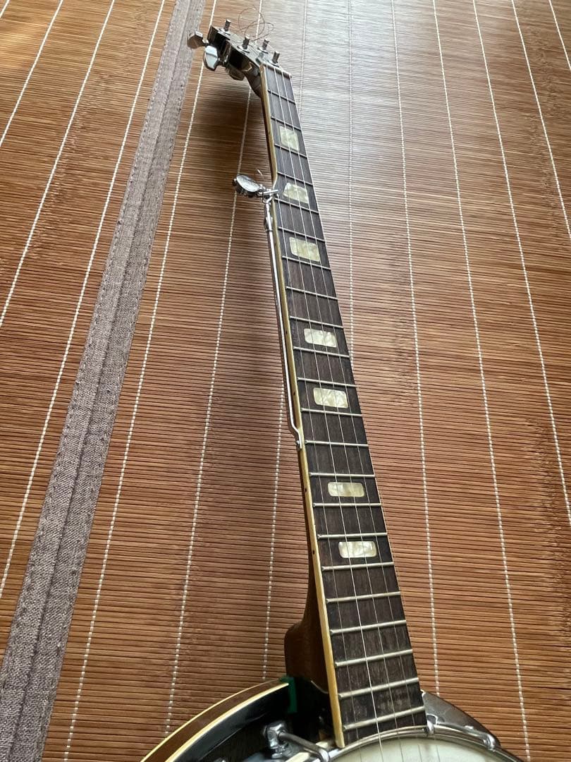 Tenesy Standard バンジョー5弦　ケース付き