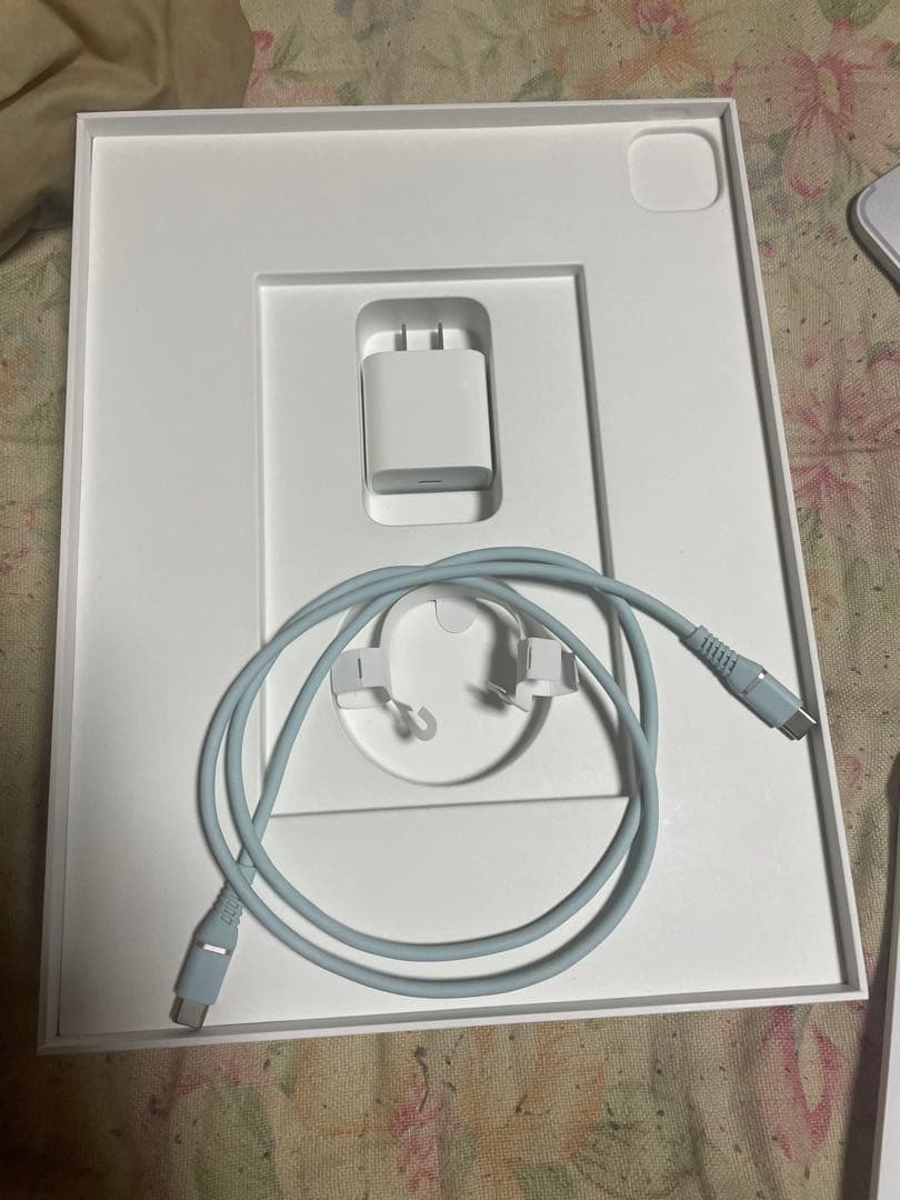 iPad Pro 12.9インチ Wi-Fi + Cellular（1TB)
