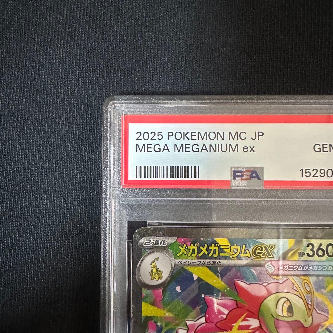PSA10 メガニウムex SAR MEGAスタートデッキ100 761/742