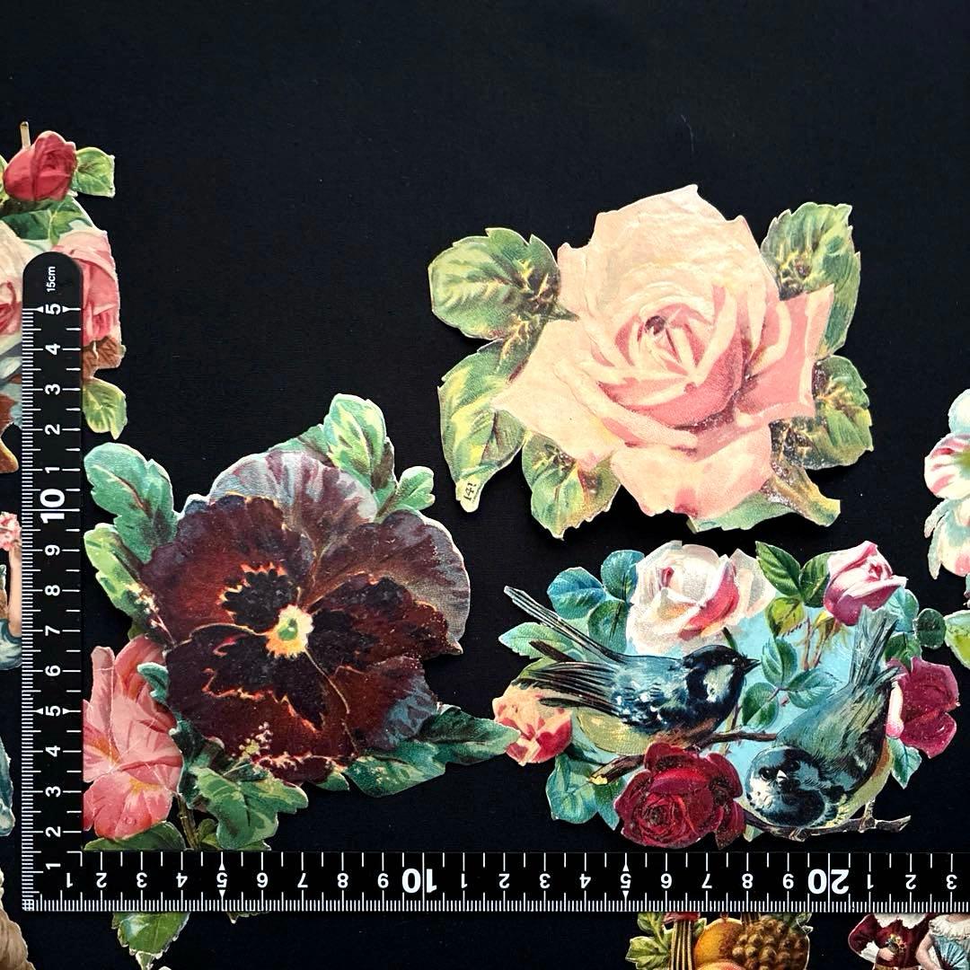フランスアンティーク クロモスセットCC10☘️少女花バラ薔薇鳥 大きめ
