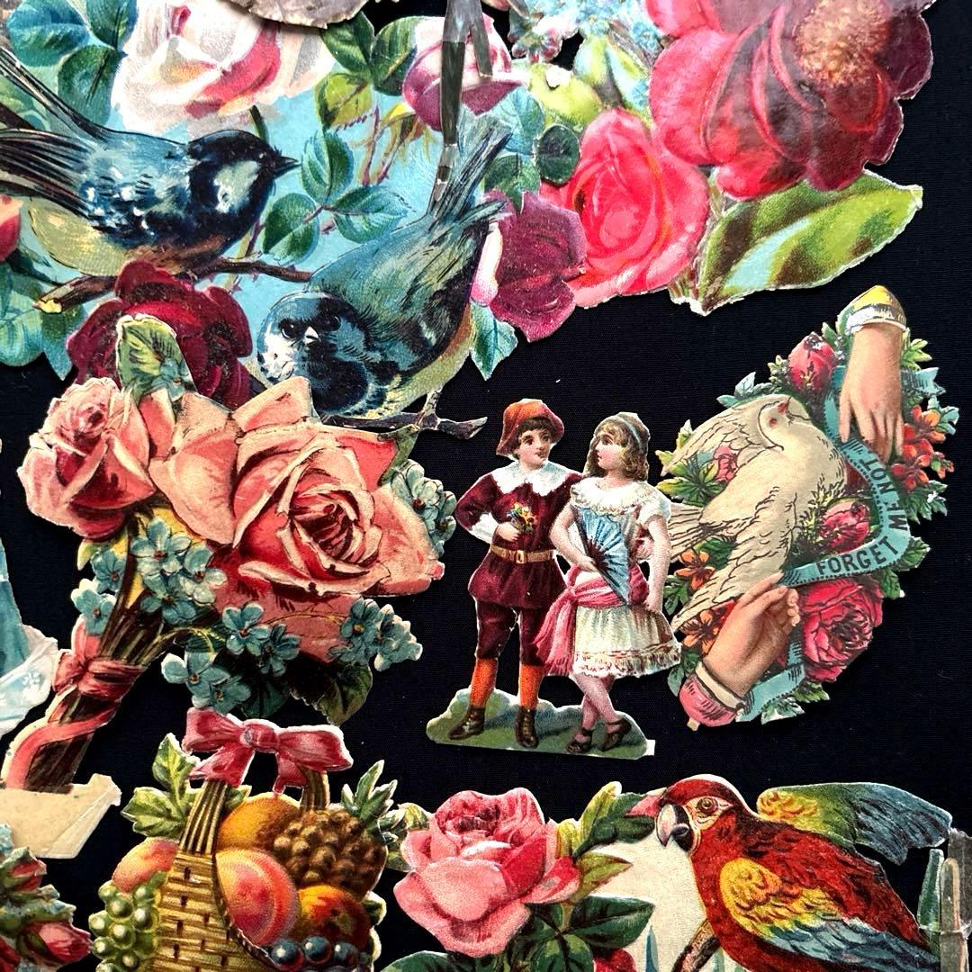 フランスアンティーク クロモスセットCC10☘️少女花バラ薔薇鳥 大きめ