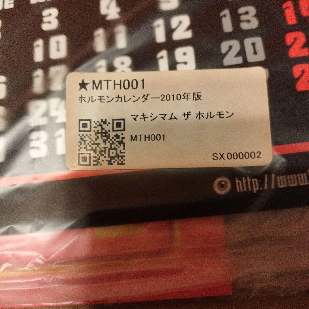 【激レア！】マキシマム ザ ホルモン 2010年版カレンダー未開封