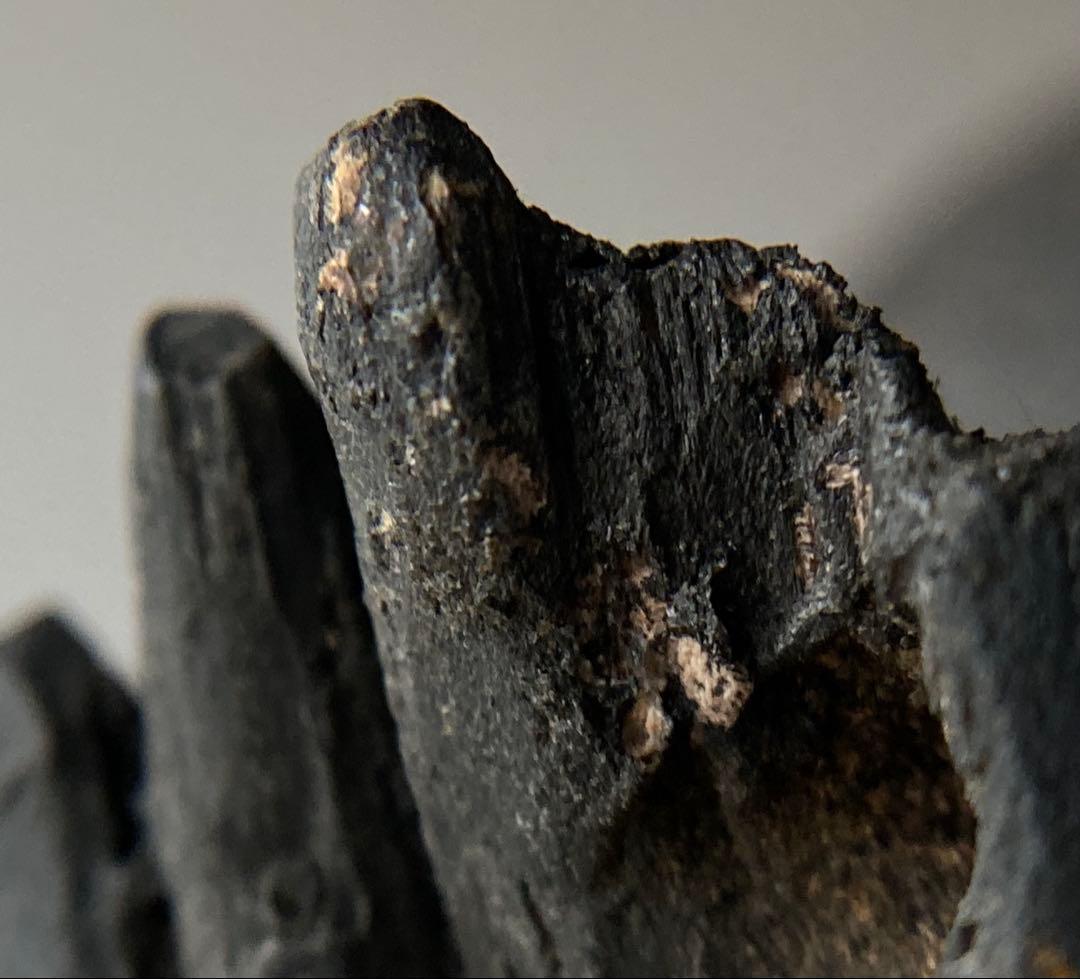 【禁欲的大作 民間如来立像 木彫 約35㎝ 江戸後期頃】仏像民間信仰郷土資料美術