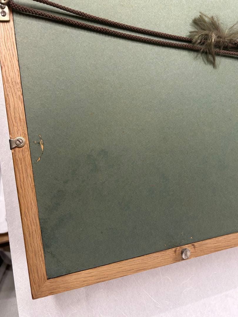 王生狂言 信田利之 絵画