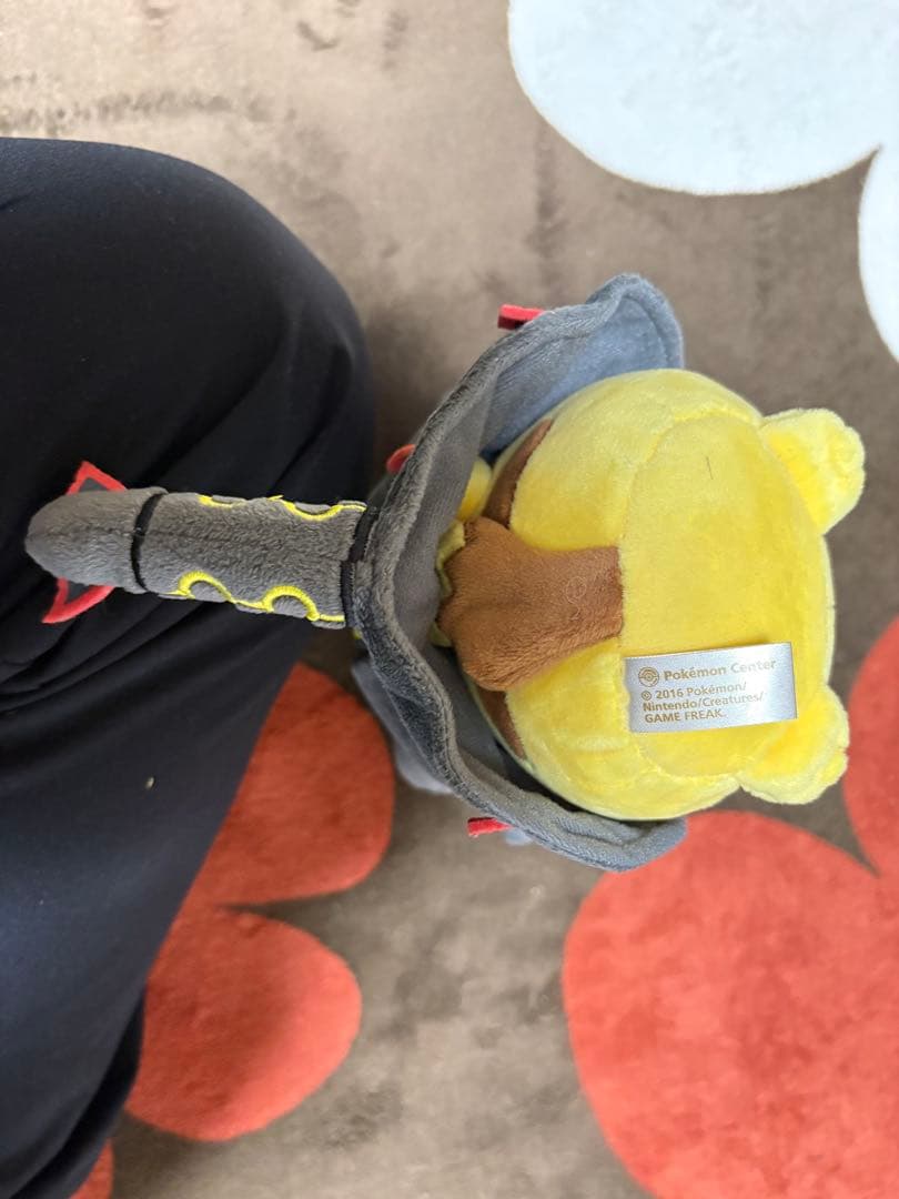 2種セット レックウザのポンチョを着たピカチュウ ポケモン ぬいぐるみ ぽんちょ