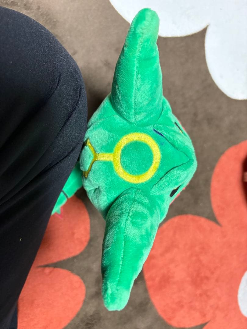 2種セット レックウザのポンチョを着たピカチュウ ポケモン ぬいぐるみ ぽんちょ