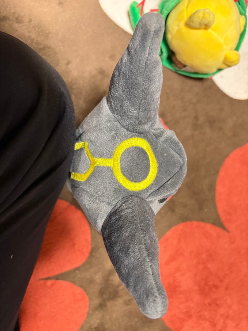 2種セット レックウザのポンチョを着たピカチュウ ポケモン ぬいぐるみ ぽんちょ