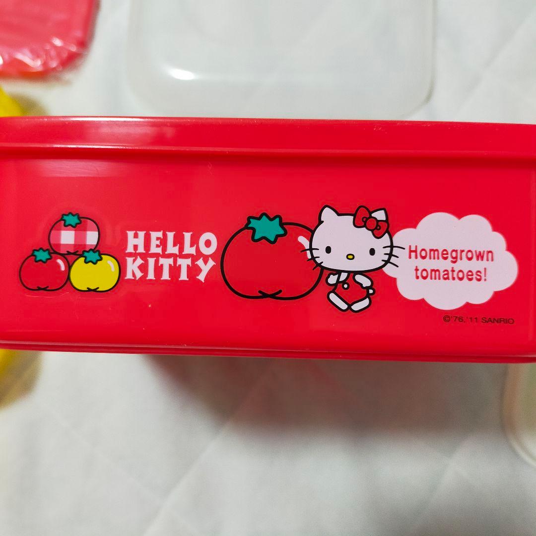 HELLO KITTY 2011年製　ランチボックス　レトロ弁当箱　ピクニック