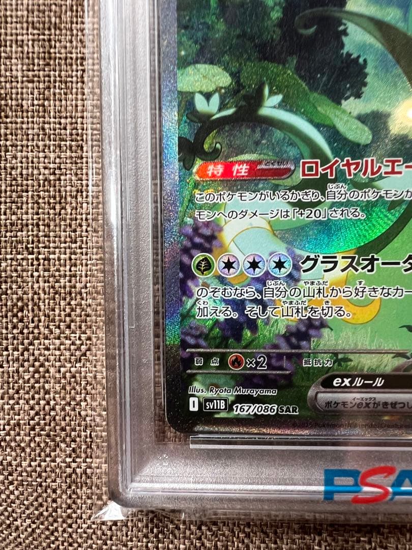 【PSA10】ジャローダex sar ジャノビーar ツタージャar キリ番