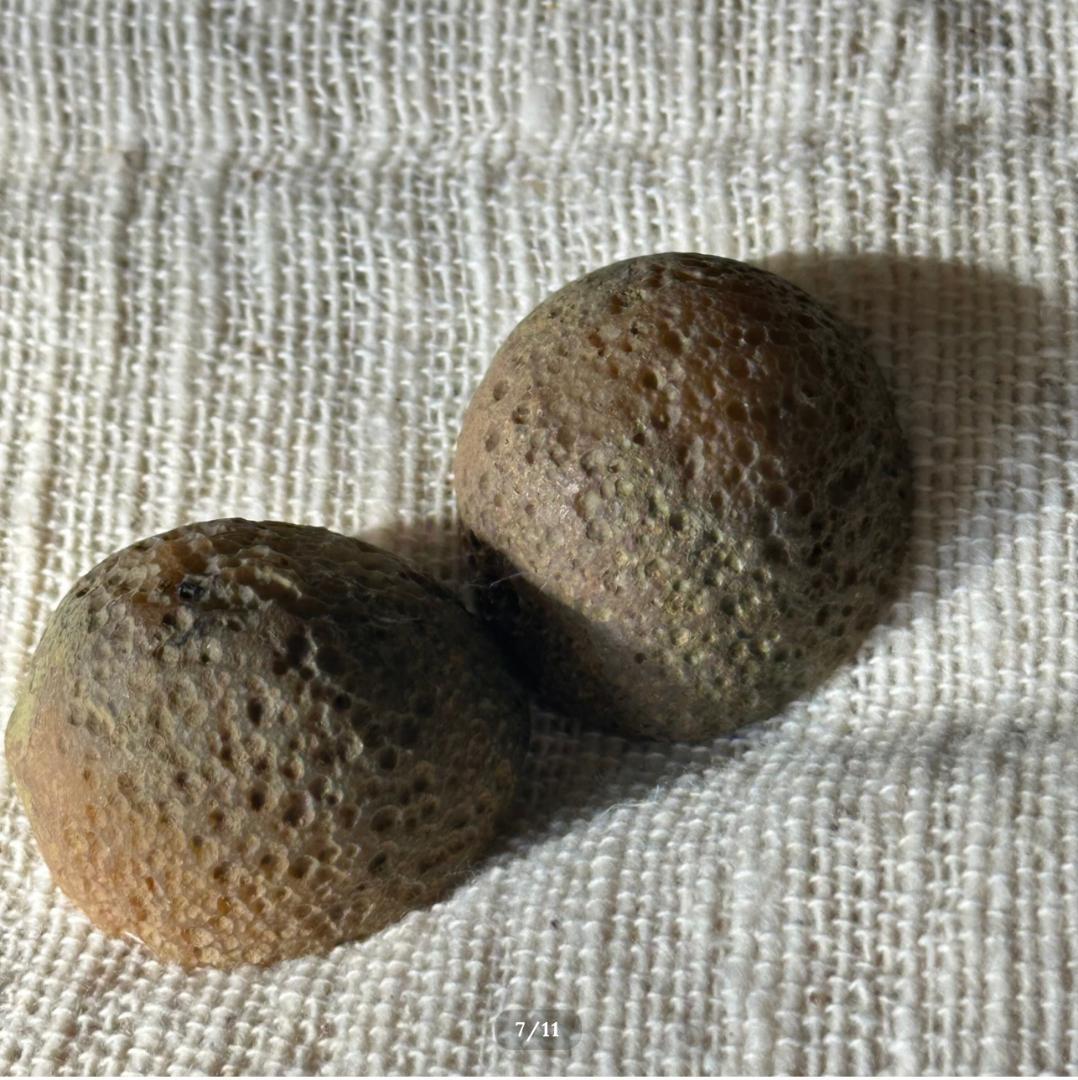 【戦国瑪瑙】 アイバンドアゲート｜ペア ジオード（原石ポリッシュ）