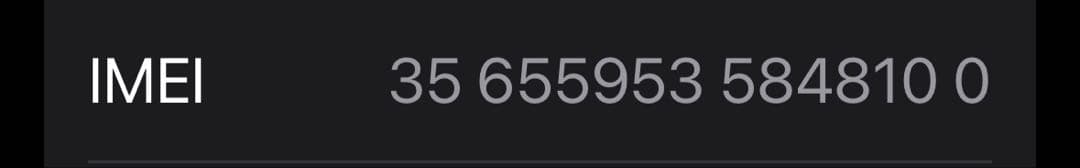 【ケース付き】 iPhone15 256G ブルー 本体 ☺︎
