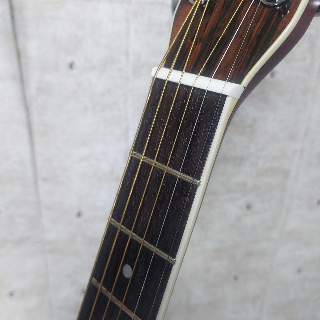 【激レア】 Morris モーリス M750Y サンバースト ハカランダ