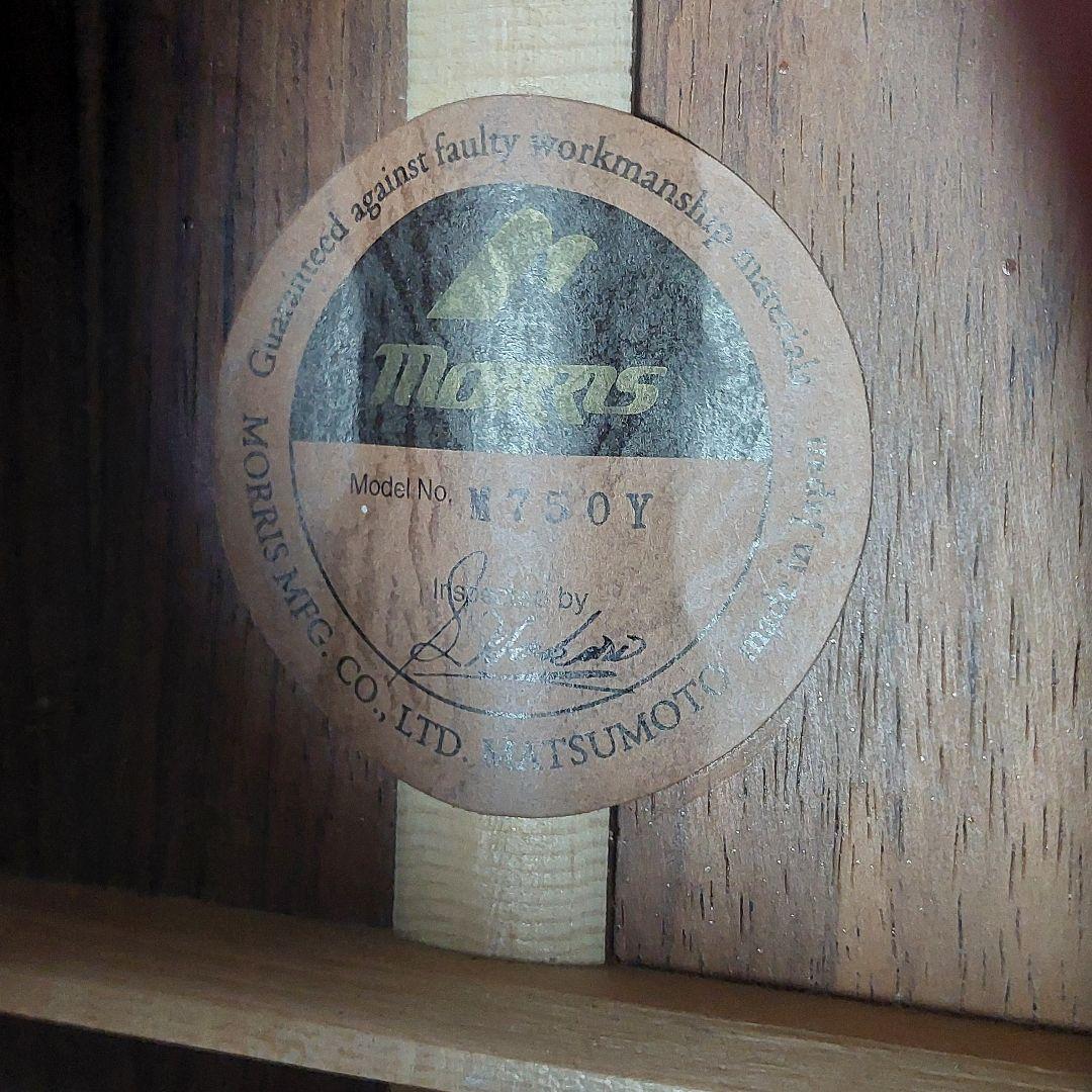 【激レア】 Morris モーリス M750Y サンバースト ハカランダ