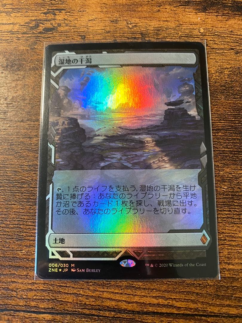 MTG 湿地の干潟 日本語版 ゼンディカー エクスペディション foil 1枚
