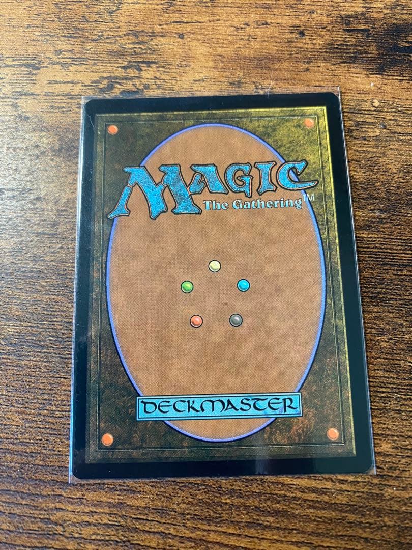 MTG 湿地の干潟 日本語版 ゼンディカー エクスペディション foil 1枚