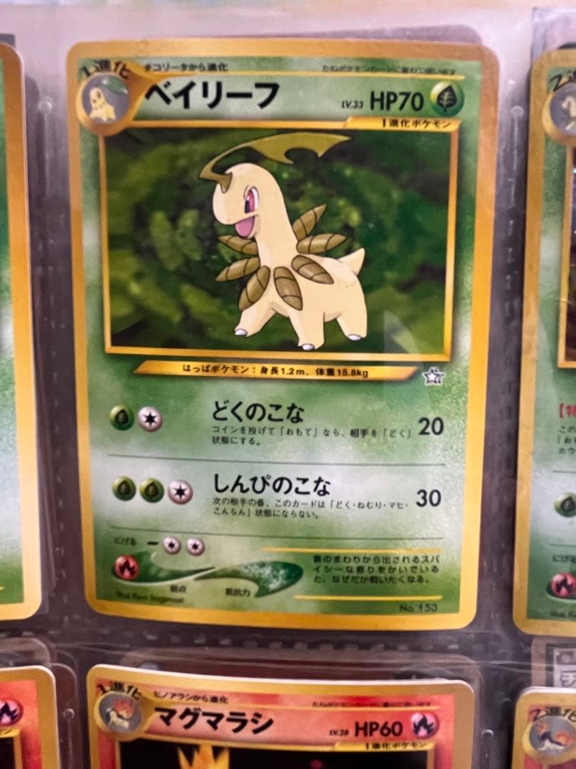 【旧裏】ジョウト御三家 9枚フルセットメガニウムバクフーンオーダイルまとめ売り