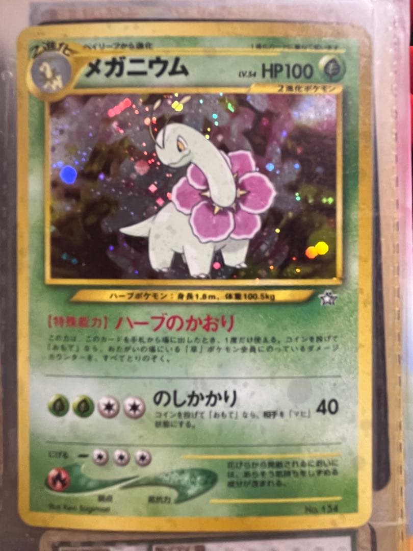 【旧裏】ジョウト御三家 9枚フルセットメガニウムバクフーンオーダイルまとめ売り