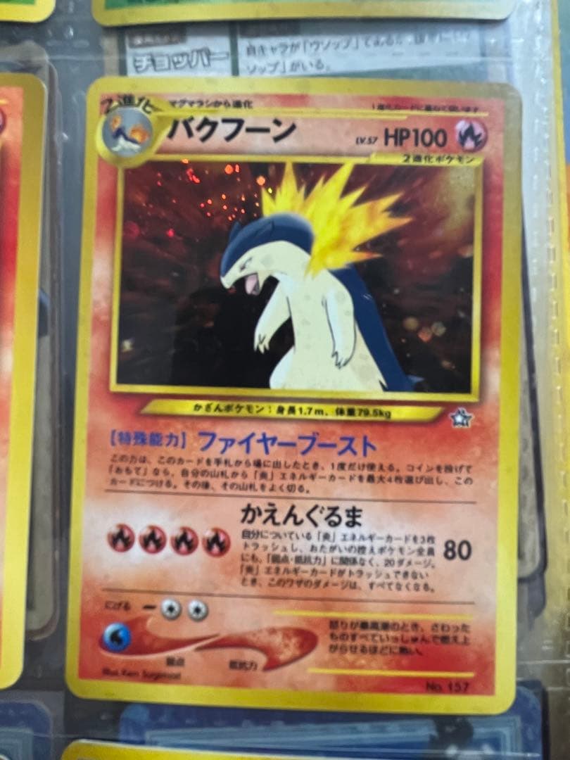 【旧裏】ジョウト御三家 9枚フルセットメガニウムバクフーンオーダイルまとめ売り
