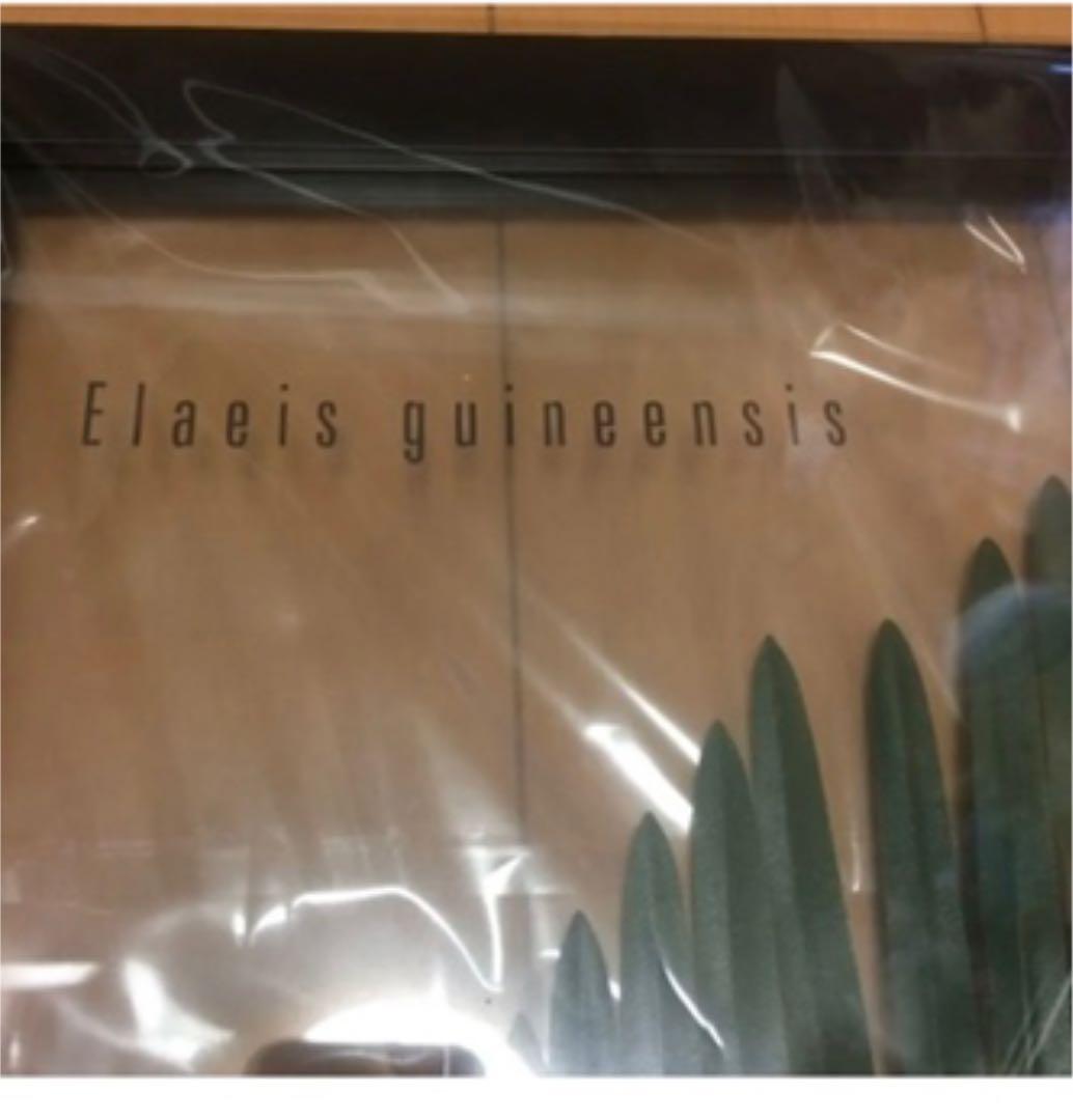 東京インテリア 壁掛け 2枚