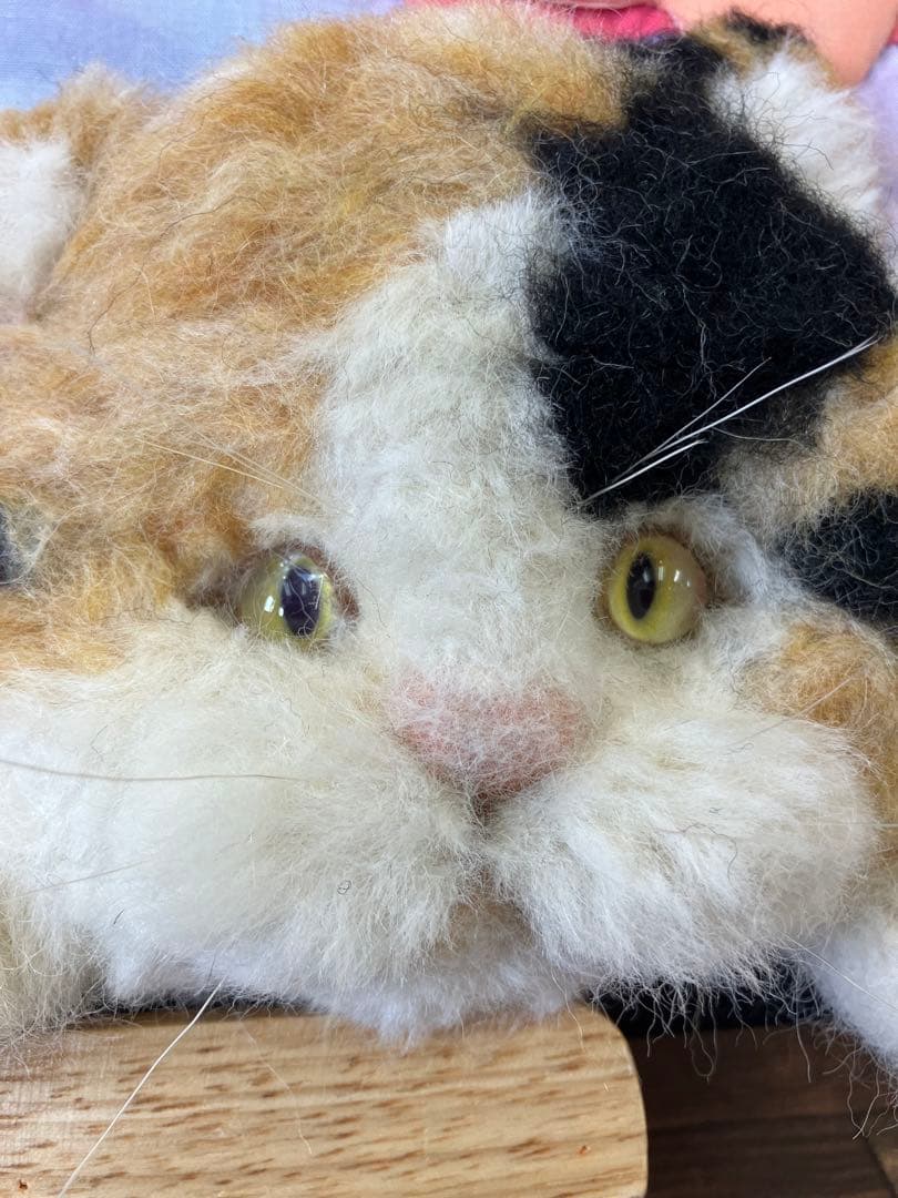 ハワイアンフラワーｉｎキャット