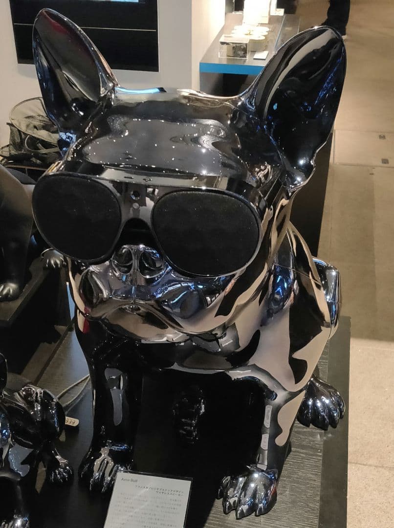 Aerobull HD1 エアロブル クロームブラック