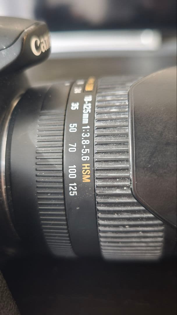 Canon EOS60D レンズ付き シグマ18-125mm