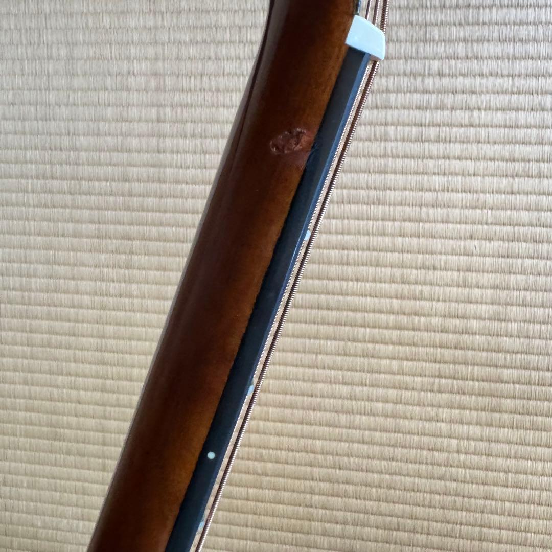 訳あり！誰か僕を直して（涙）！DR-100/NA 改FISHMANエレアコ